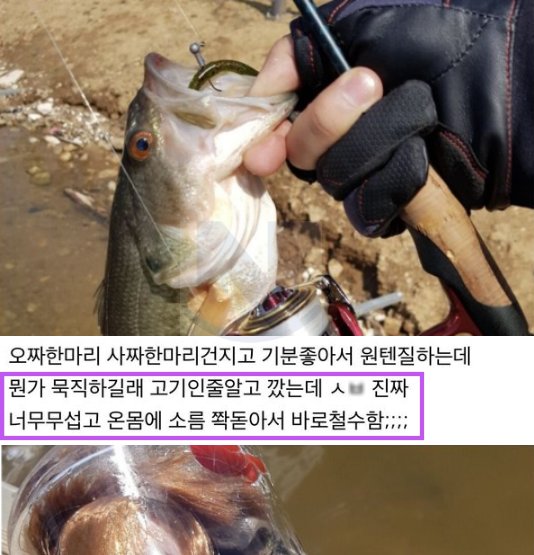 12.png?resize=412,232 - 낚시 하고 있다가 뒤도 안돌아보고 철수해버린 역대급 이유ㄷㄷㄷ.jpg