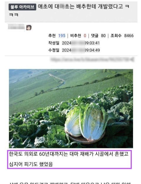 13.png?resize=412,232 - 대ㅁ초가 배추한테 져서 사라져버린 나라