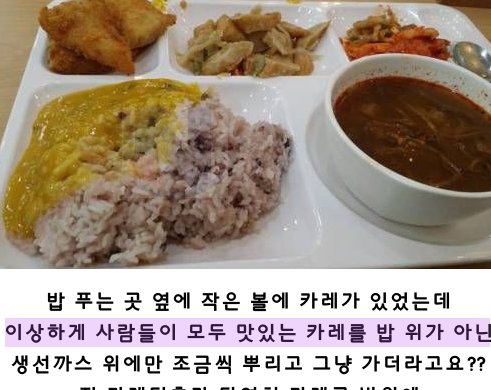 5 3.png?resize=412,232 - "사람들이 희한하게 맛있는 카레를 안 먹네요????"