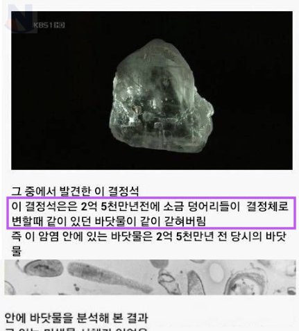 6 24.png?resize=412,232 - 다시 일어난 기적의 2억5천만년ㄷㄷㄷ.jpg
