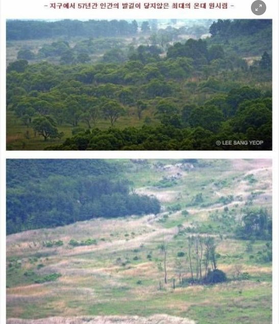6 33.png?resize=412,232 - 지구에서 57년간 인간의 발길이 닿지 않은 곳,,
