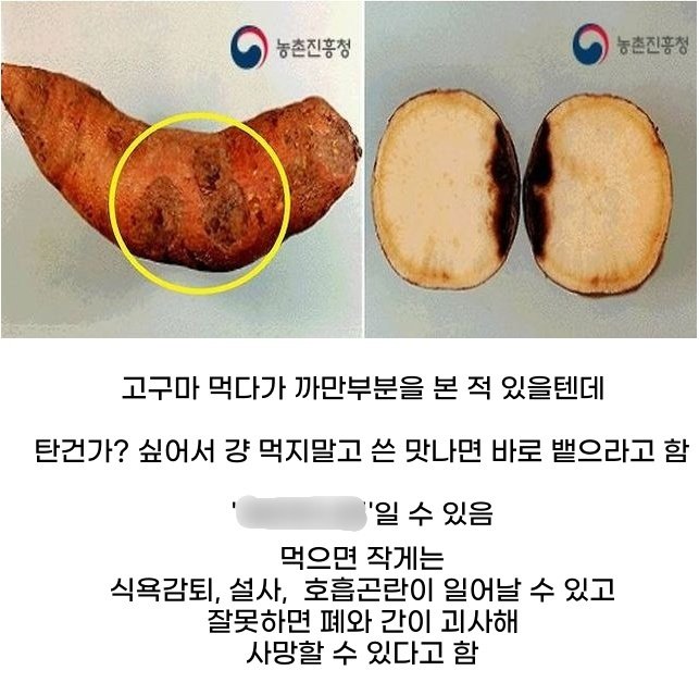 6.jpg?resize=412,232 - 고구마 먹다 쓴 맛나면 바로 뱉어야 되는 이유