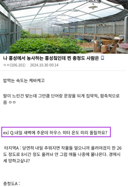 7 6.png?resize=412,232 - 진짜 충청도 사람들이 말하는 찐 충청도 사람은ㅋㅋㅋ
