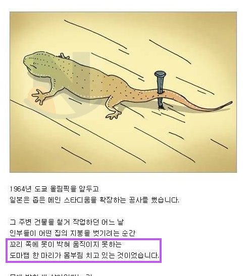 8 6.png?resize=412,232 - 이게 말이 되나 싶은 기적을 이룬 도마뱀..jpg