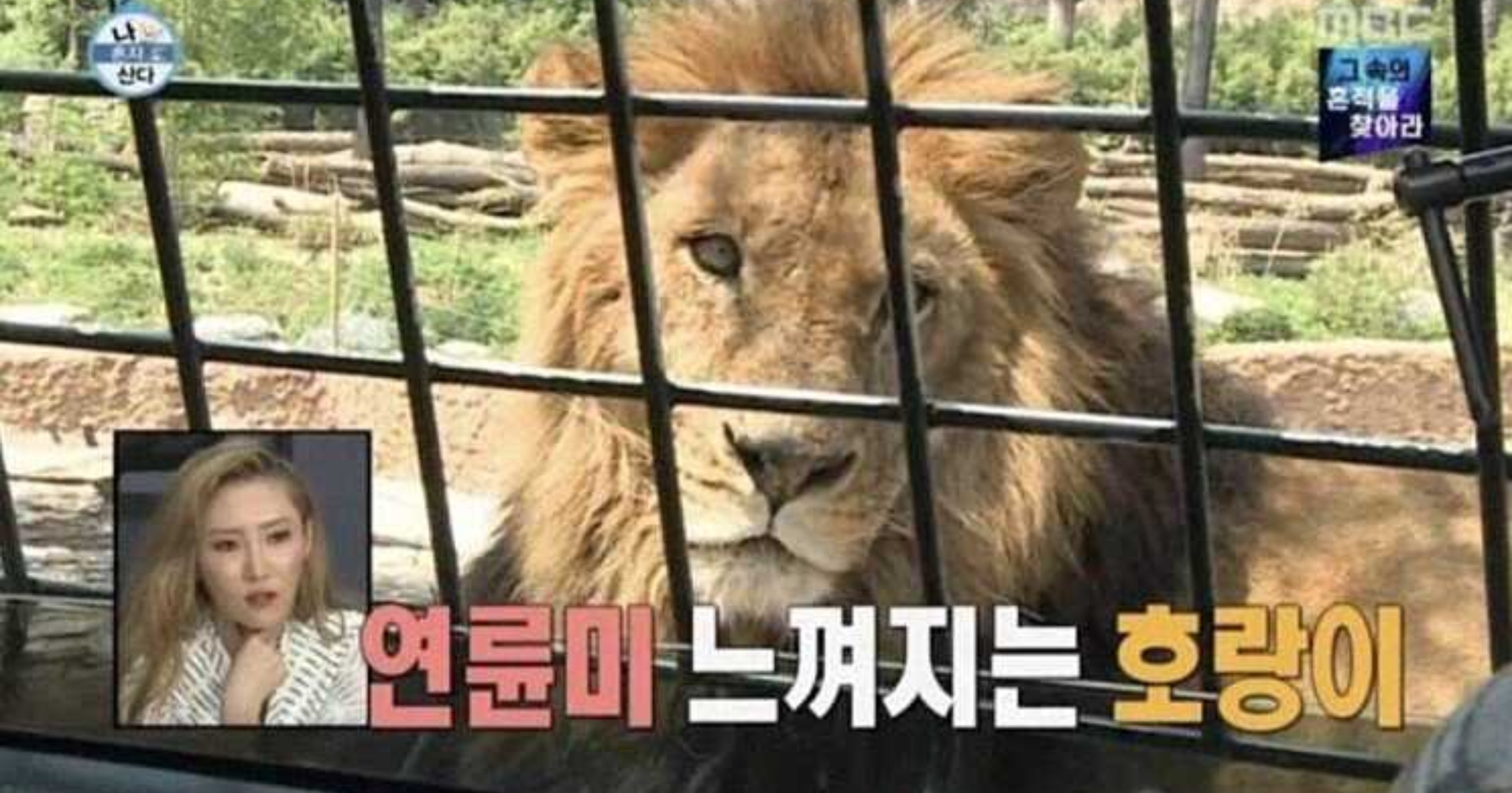 86322e37 1182 4c82 b6dd 7a56013fc257.jpeg?resize=412,232 - 시청자들도 뭔지 모르고 넘어간 레전드 방송 사고ㅋㅋㅋ