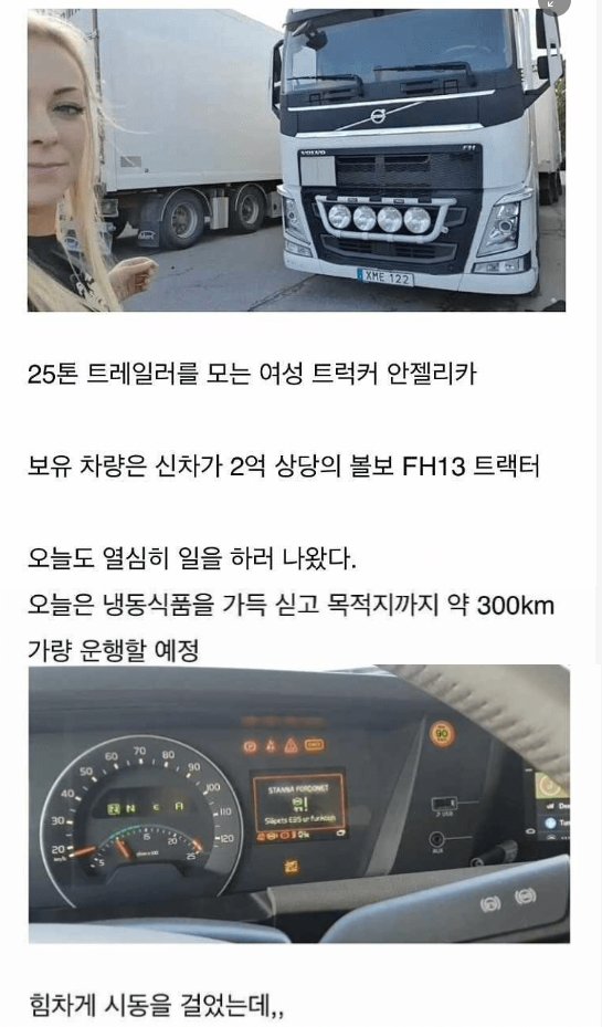 9 25.png?resize=412,232 - 트럭이 고장난 스웨덴의 25톤 트럭 기사 누나.jpg