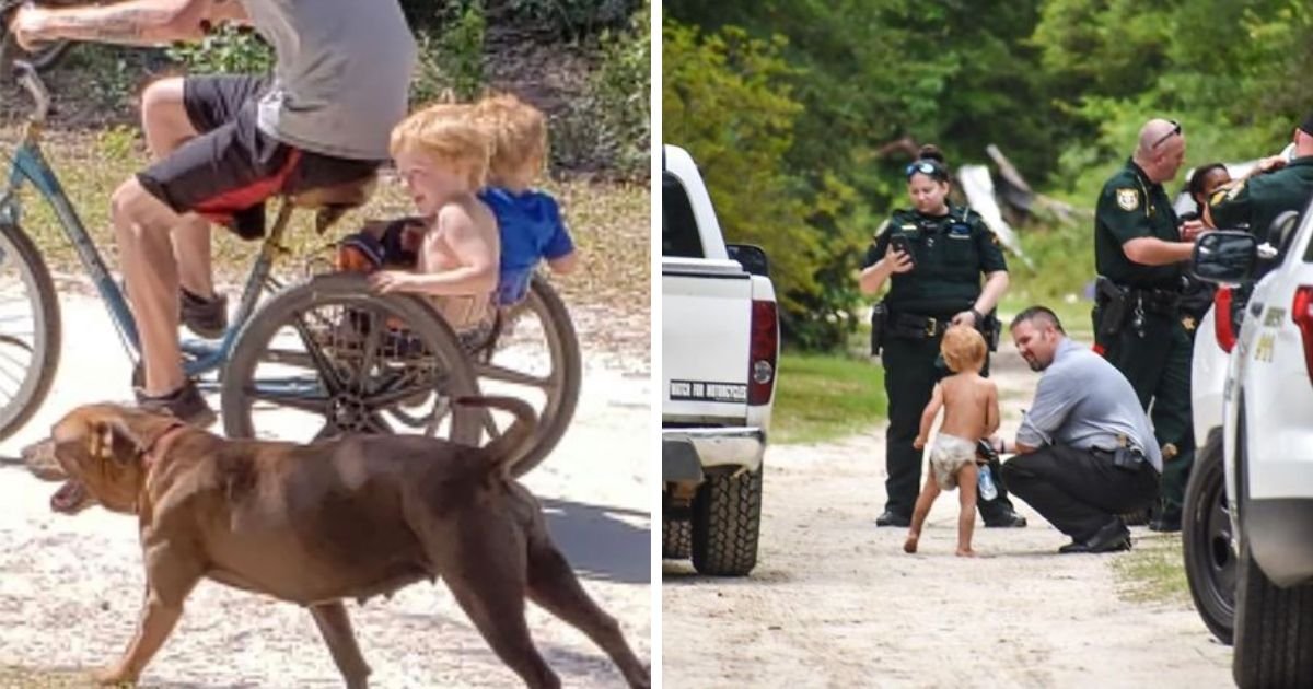 copy of articles thumbnail 1200 x 630 2 36.jpg?resize=412,275 - An Absolute Miracle! Missing Toddler With Autism Found In The Loving Care & Protection of Two Dogs