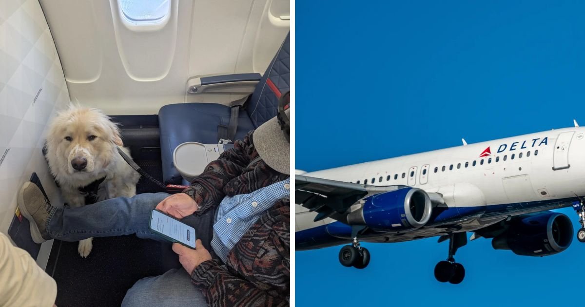 copy of articles thumbnail 1200 x 630 57.jpg?resize=412,275 - Passenger Furious Over Being Forced To Give Up First Class Delta Seat For a DOG