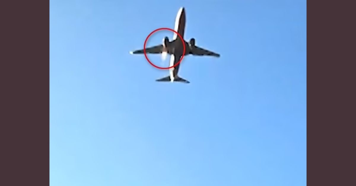 copy of articles thumbnail 1200 x 630 8 10.jpg?resize=412,232 - Bird Was Seen Stuck in WING of Doomed South Korean Airline As Control Tower WARNED Pilot Before Plane's Emergency Landing