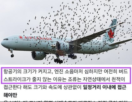 10 9.png?resize=412,232 - 버드스트라이크 진짜.... 피할 수 없는 이유.....
