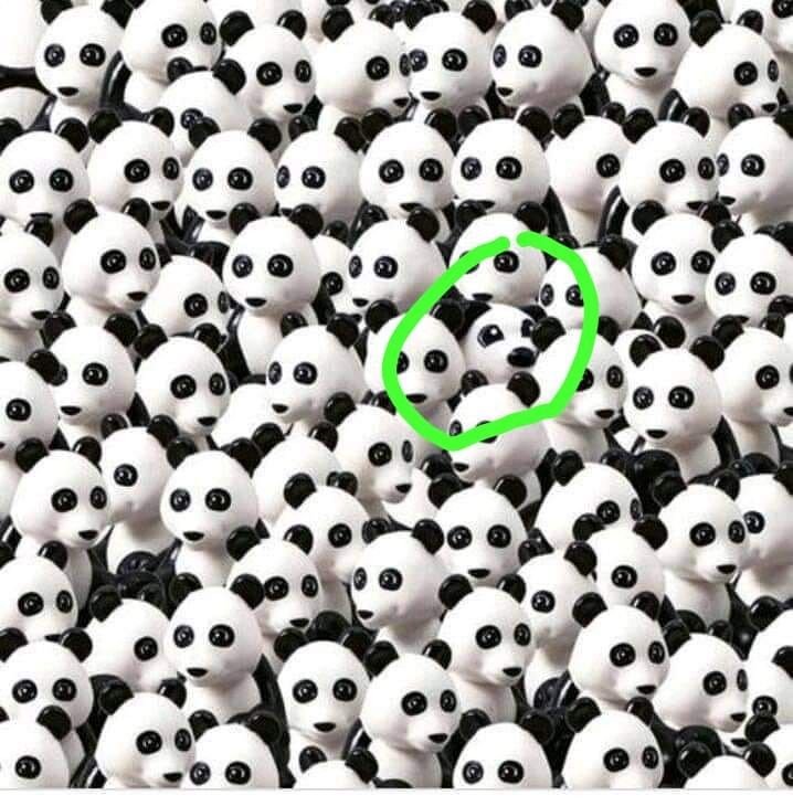 This may contain: a green circle surrounded by hundreds of black and white panda bears