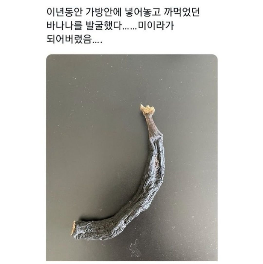 달팽이 및 텍스트의 이미지일 수 있음