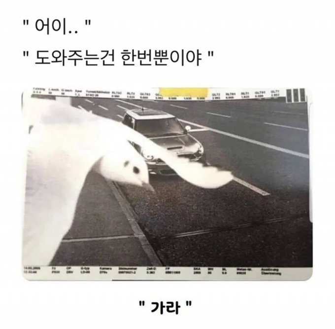 텍스트의 이미지일 수 있음