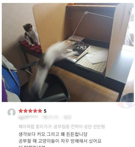 2 34.png?resize=412,275 - 독서실 칸막이 진실된 구매 후기ㅋㅋㅋㅋㅋㅋㅋ