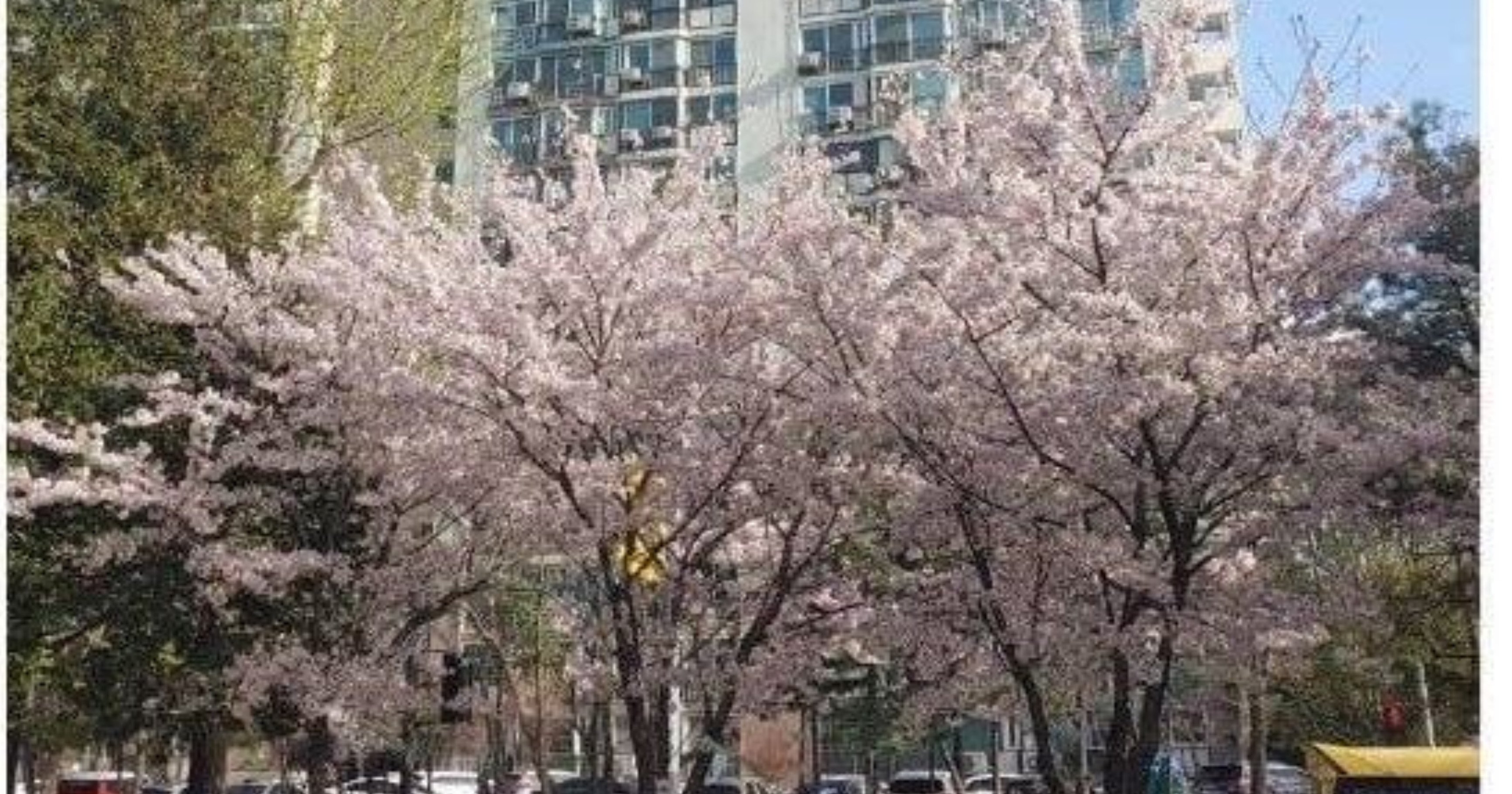23461394 79d4 4be5 868f 92c88ae07f66.jpeg?resize=412,232 - 지은지 30년 넘은 오래된 아파트단지 특징
