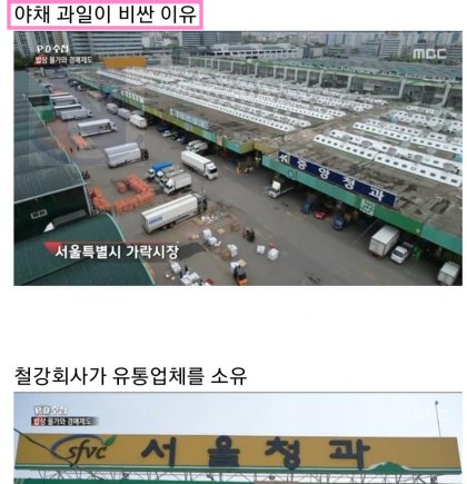 3 52.png?resize=412,275 - 가락시장의 기막히고 코가 막히는 유통구조수준 ㅋㅋㅋ