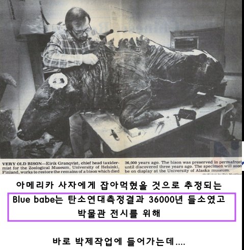 4 14.png?resize=412,275 - 36,000년 된 소고기를 먹은 박제사들....ㅎㄷㄷ(+후기)