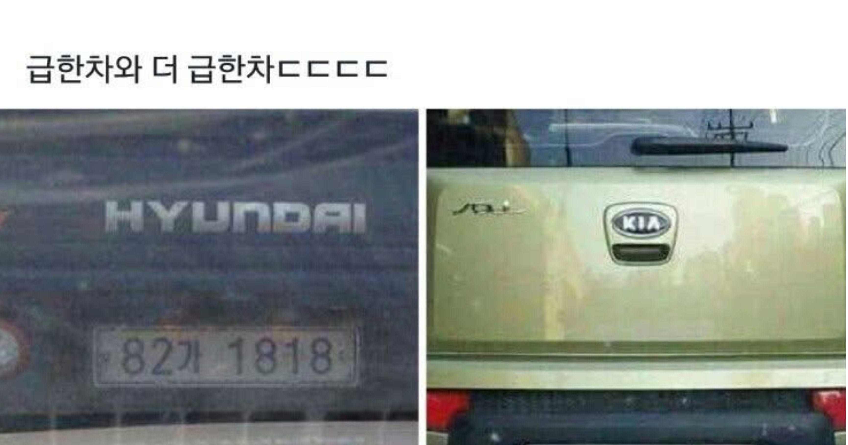 4195fef9 a504 4521 954d ca18dbdbb5d2.jpeg?resize=412,275 - 급한차량 더 급한차..소리내서 읽어보기