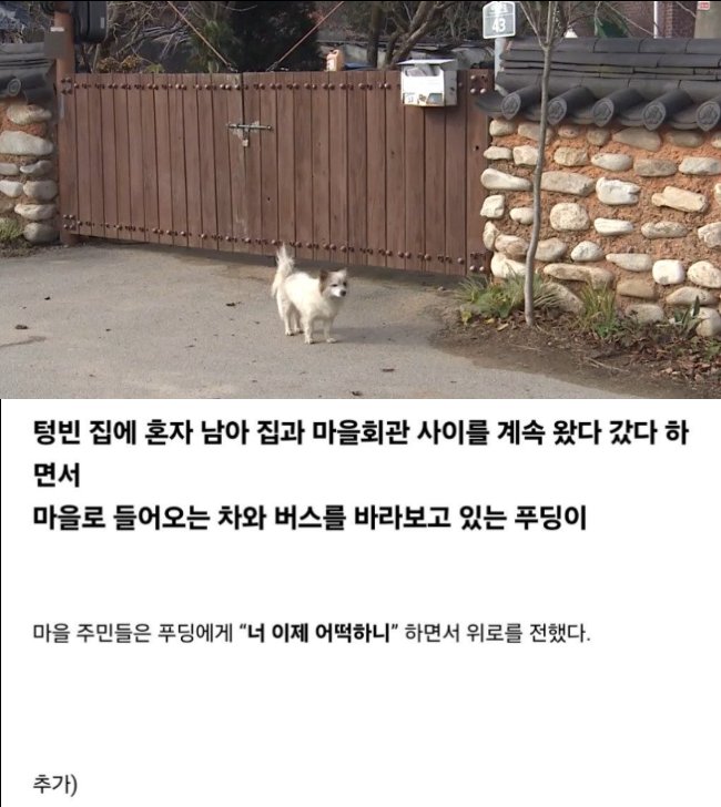 6 1.png?resize=412,232 - 일가족 9명 세상 떠나...푸딩
