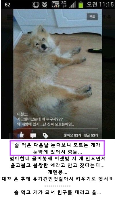 6 13.png?resize=412,275 - 술 먹고 취해서 어떤 실수 해봤음?ㅋㅋㅋㅋㅋ