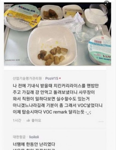 6 19.png?resize=1200,630 - 한때 커뮤들 휩쓸었던 대한항공 치킨카레 사건 