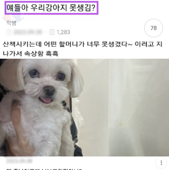 6 8.png?resize=412,275 - 얘들아 우리강아지 못생김??(+댓글ㅋㅋㅋㅋㅋ)