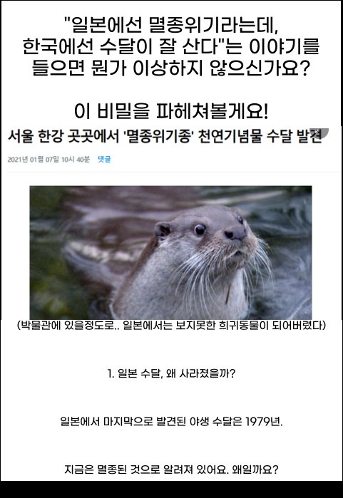 8 26.png?resize=412,275 - 일본은 멸종위기인데, 한국에서는 수달이 잘 산다