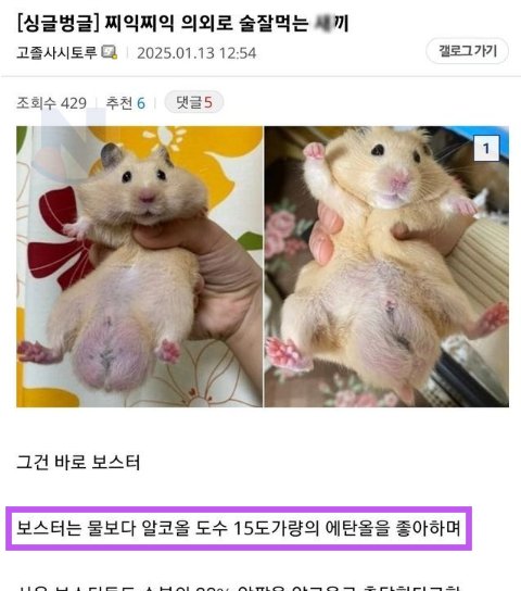 9 20.png?resize=412,275 - 의외로 사람보다  더 술 잘먹는다는 ㅅ끼..ㄷㄷㄷ