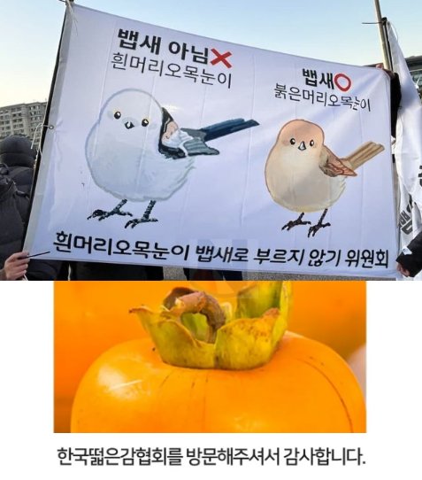 9 21.png?resize=412,275 - 한국의 독특하고 신기한 협회들 ㅎㄷㄷ