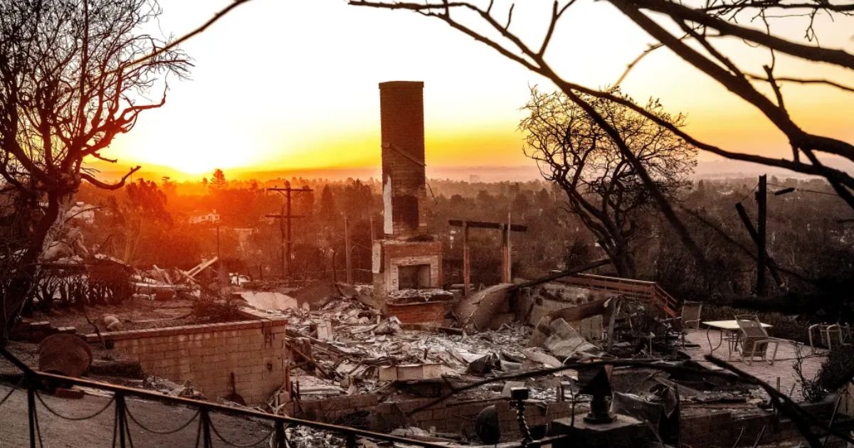 copy of articles thumbnail 1200 x 630 1 15.jpg?resize=412,275 - 'Pure Greed!'- Celebs Call Out Insurance Companies for Canceling ‘Millions of Policies’ Ahead of LA Fires