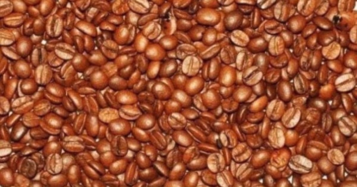 copy of articles thumbnail 1200 x 630 16.jpg?resize=412,232 - Can You Put Your Eyes To The Test and Spot The Hidden Baby Faces In This Tricky Picture?