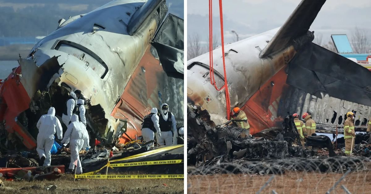 copy of articles thumbnail 1200 x 630 2 5.jpg?resize=1200,630 - Aviation Expert Suggests ‘Sinister’ Cause of South Korea’s Jeju Air Plane Crash That Killed 179