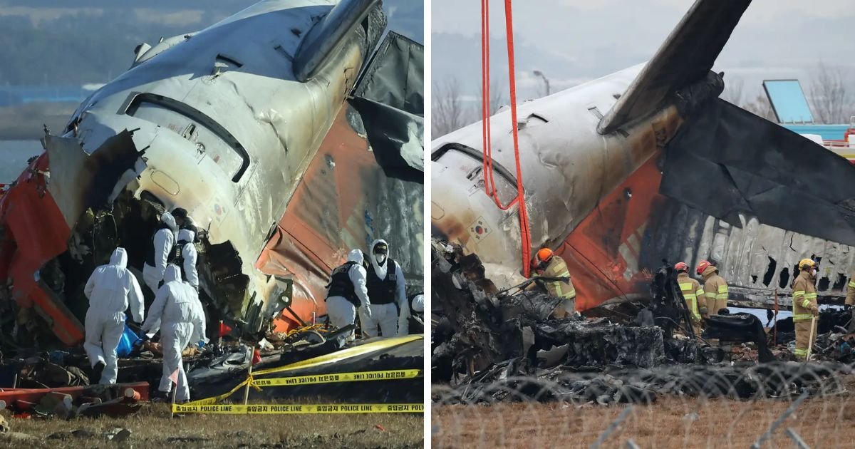 copy of articles thumbnail 1200 x 630 2 5.jpg?resize=412,275 - Aviation Expert Suggests ‘Sinister’ Cause of South Korea’s Jeju Air Plane Crash That Killed 179