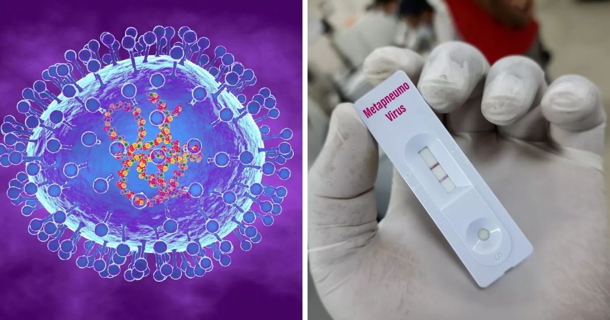 copy of articles thumbnail 1200 x 630 3 7.jpg?resize=1200,630 - Four Key Symptoms of 'Mystery Virus' HMPV Revealed As China Tries To Tackle Outbreak