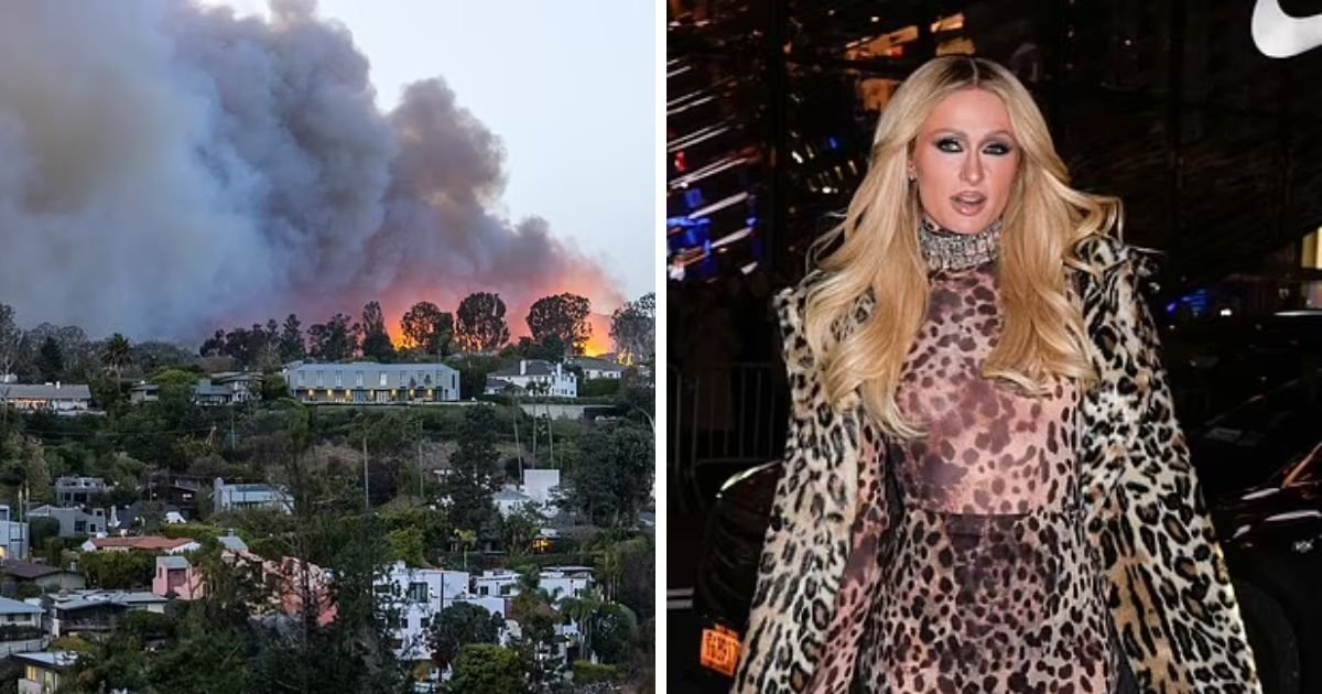 copy of articles thumbnail 1200 x 630 9 3.jpg?resize=412,232 - Paris Hilton's Malibu Mansion Burns Down In Wildfire As Firefighters Face Drought Due to Limited Water Supply