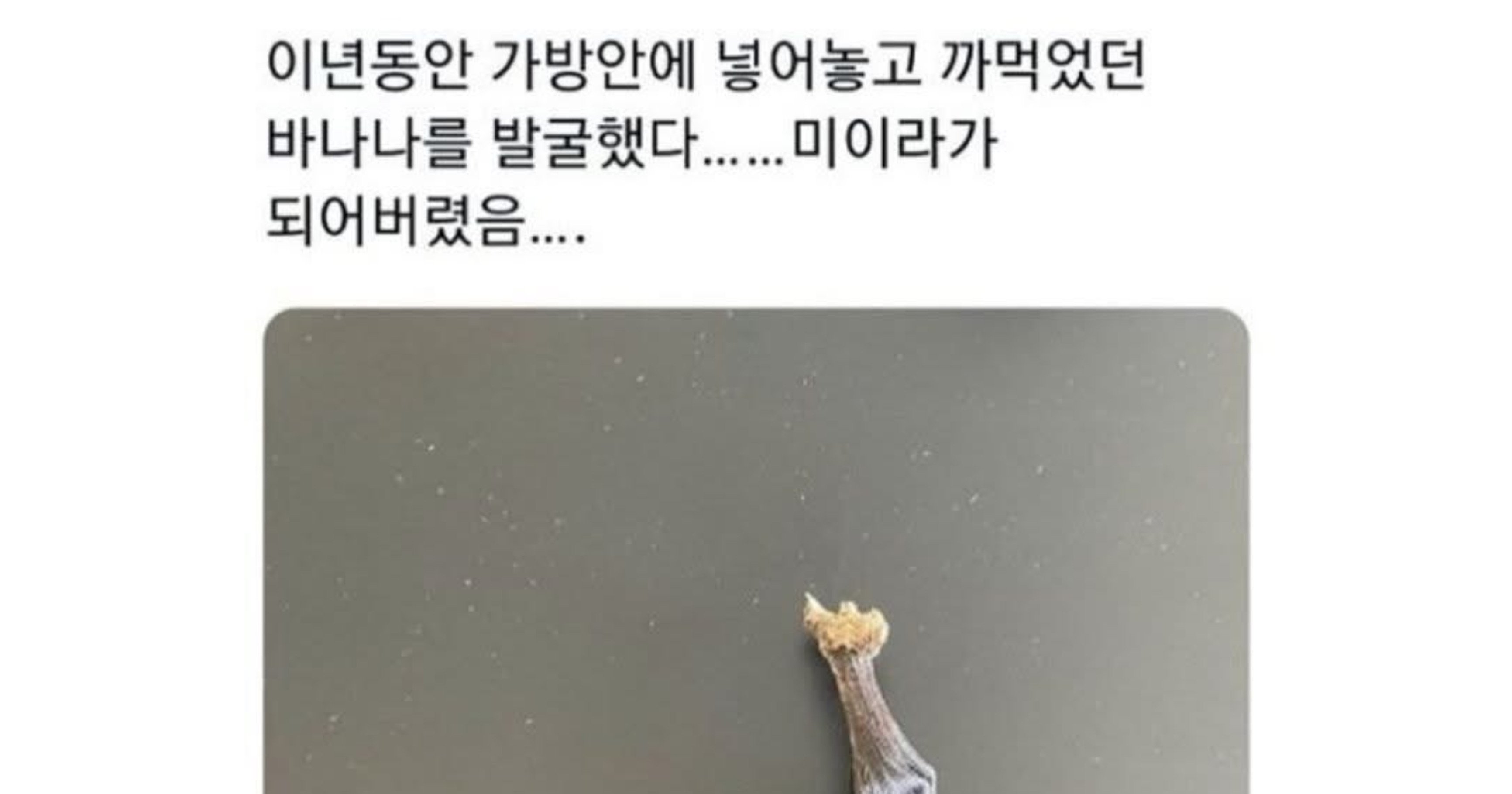 dd82fa8f 92a3 44a3 9309 cb6e5e5fa977.jpeg?resize=412,275 - 2년된 바나나