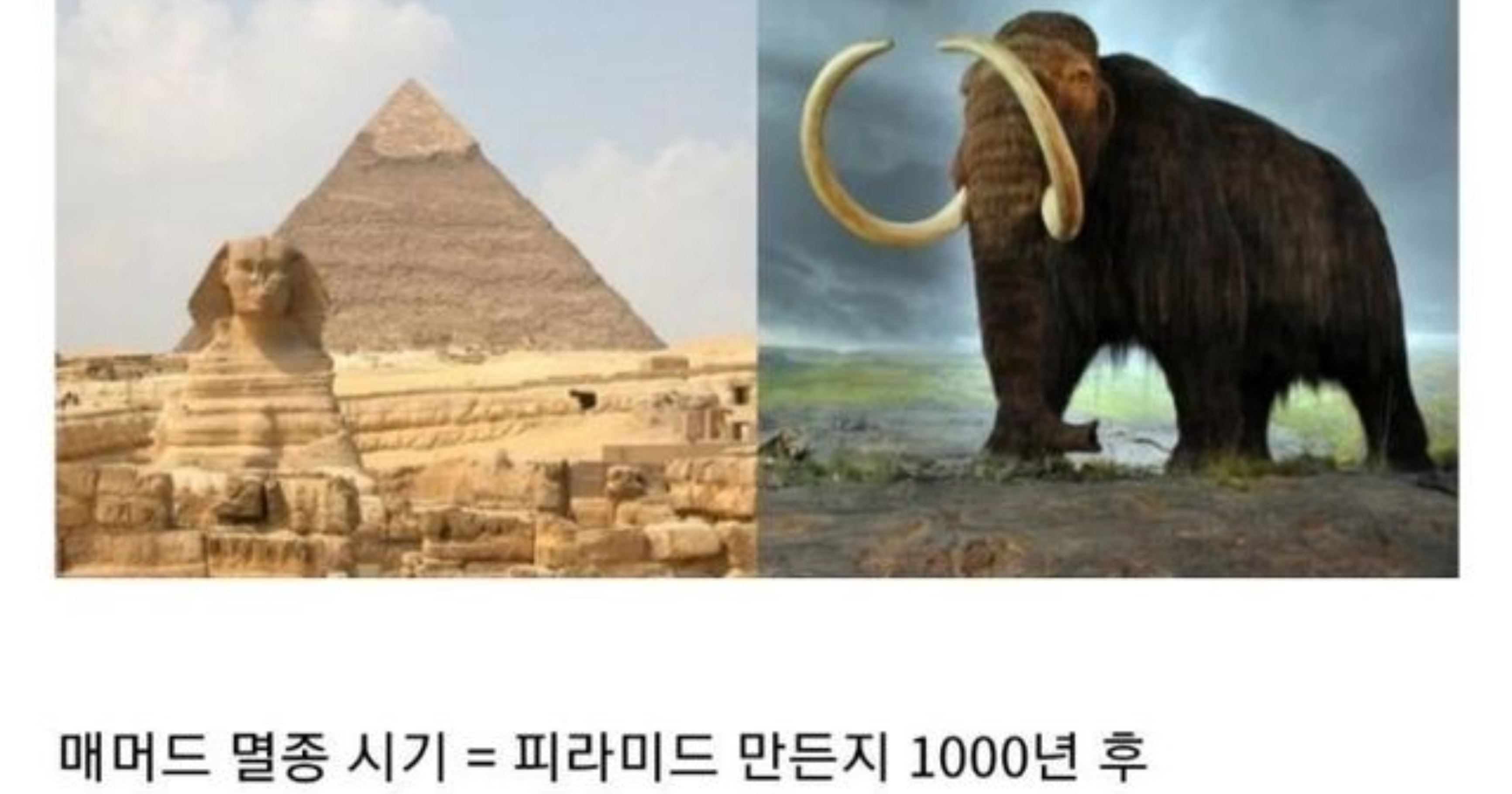 f84ad152 6861 4917 8fe0 4fa051127c6b.jpeg?resize=412,275 - 급 현타오는 이집트 역사