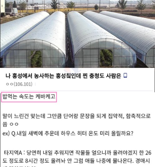 5 11.png?resize=412,275 - 충남 홍성사람이 말하는 진짜 충청도인ㅋㅋㅋ