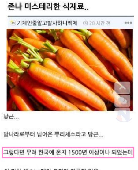 6 12.png?resize=412,275 - 한국에 온 지 1500년 넘었는데 아직도 미스테리한 식재료