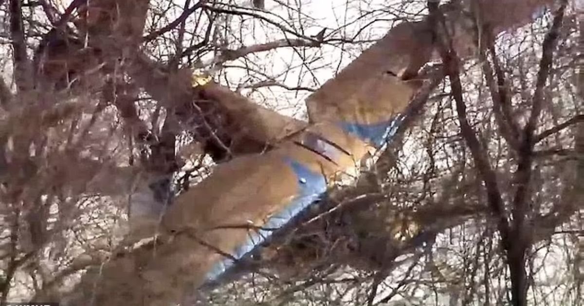 copy of articles thumbnail 1200 x 630 10 6.jpg?resize=1200,630 - Aviation Horror As ANOTHER Plane Shoots Off the Runway And CRASHES Into Trees