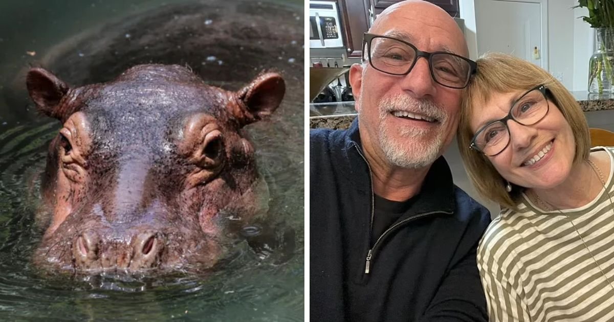 copy of articles thumbnail 1200 x 630 12 4.jpg?resize=1200,630 - Husband Watches In HORROR As Hippo Mauls Wife to Death On African Safari Tour
