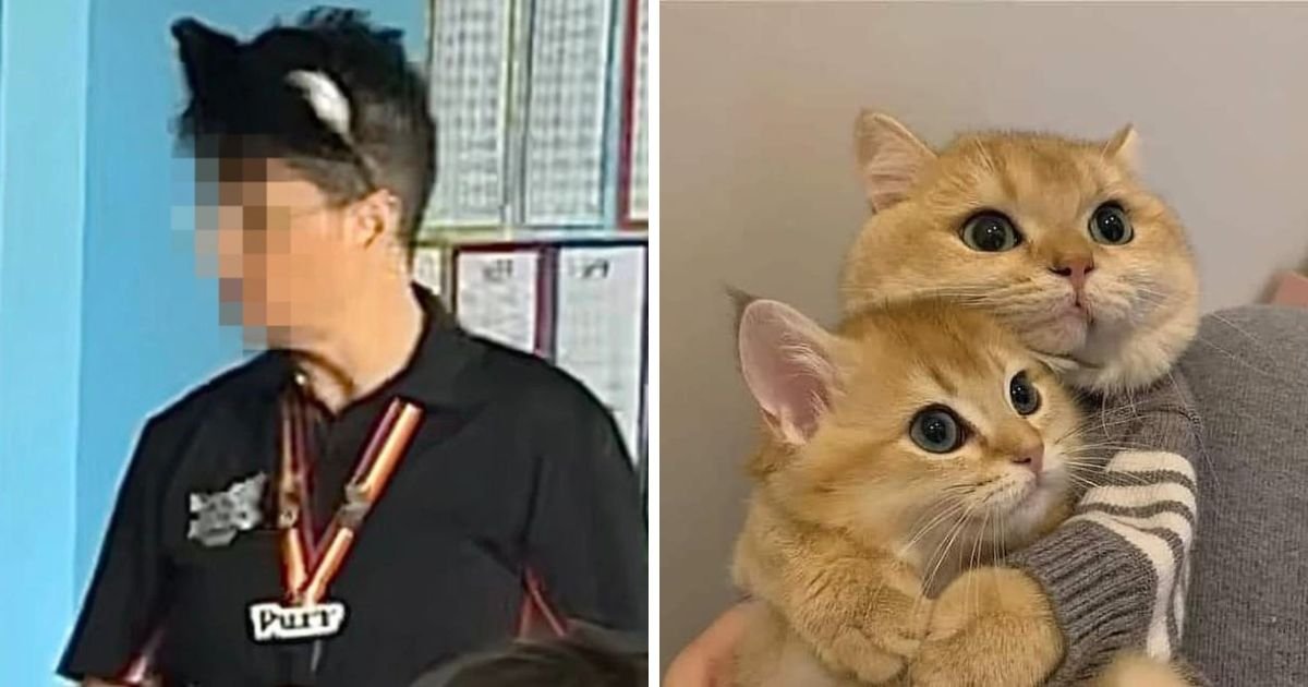 copy of articles thumbnail 1200 x 630 29.jpg?resize=412,275 - Teacher Who Identifies As a CAT Seen Hissing At Students & LICKING Their Hands