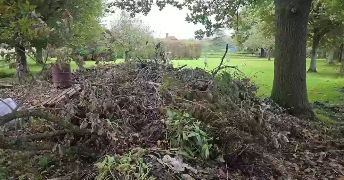 copy of articles thumbnail 1200 x 630 4 21.jpg?resize=412,232 - You Have High IQ and ‘Sniper Vision’ If You Can Spot The Dog Hidden In This Picture