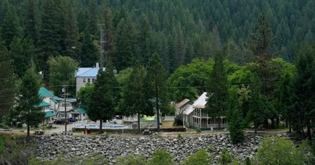 copy of articles thumbnail 1200 x 630 14 1.jpg?resize=412,275 - Black Bear in California Stalks Woman for MONTHS Before Mauling Her To Death