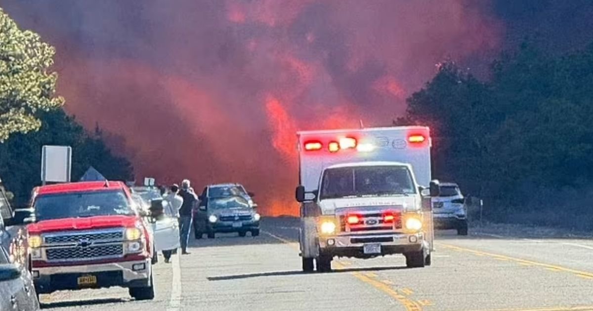 copy of articles thumbnail 1200 x 630 17 1.jpg?resize=412,275 - New York Declares State of Emergency As Hamptons Wildfires Rage