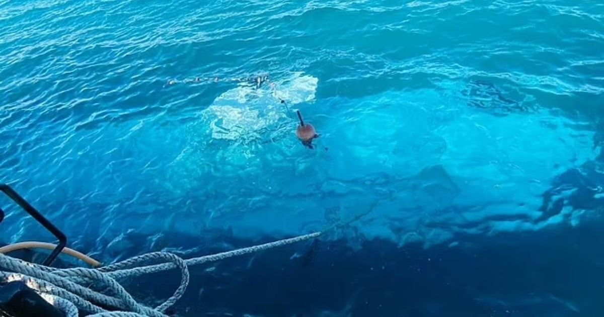copy of articles thumbnail 1200 x 630 22 2.jpg?resize=412,232 - Tourist Submarine’s Crew Made FATAL Mistake That Led To Six People’s Tragic Death in the Red Sea