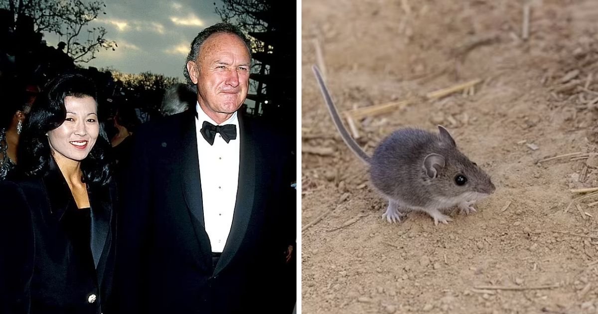 copy of articles thumbnail 1200 x 630 7 4.jpg?resize=412,232 - How Gene Hackman's Wife Betsy Arakawa Caught Rare Rodent Disease Hantavirus That Led to Her Death