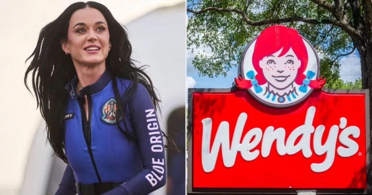 copy of articles thumbnail 1200 x 630 18 15.jpg?resize=1200,630 - Wendy's Restaurant Bashes Katy Perry After Blue Origin Space Flight & REFUSES to Apologize: 'Can We Send Her Back'