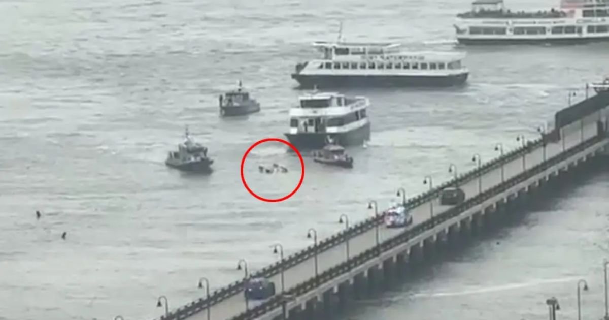 copy of articles thumbnail 1200 x 630 23 4.jpg?resize=412,232 - Helicopter CRASHES Into Hudson River As Emergency Response Underway