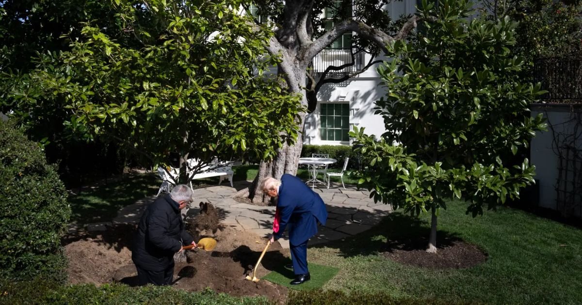 copy of articles thumbnail 1200 x 630 28 3.jpg?resize=412,275 - Trump Uses ‘Gold Shovel’ To Replace 200 Year Old Tree Planted by Andrew Jackson in White House